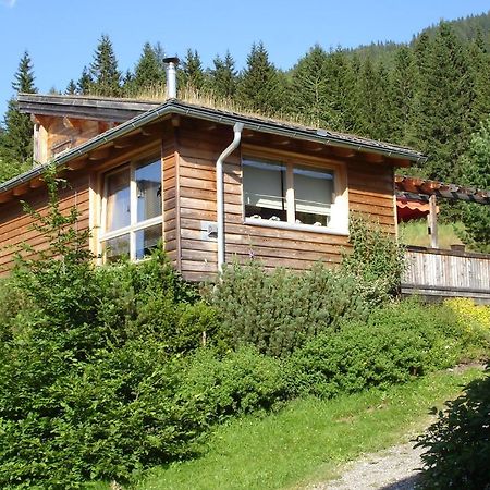 Zirbelhuette Villa Hohentauern Bagian luar foto