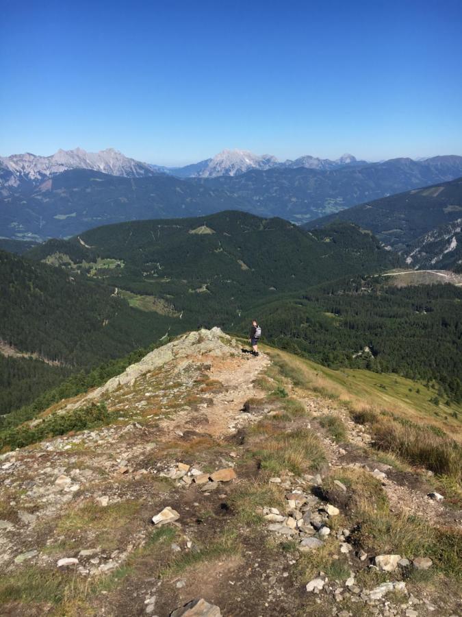 Zirbelhuette Villa Hohentauern Bagian luar foto